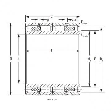  250RY1681 TIMKEN