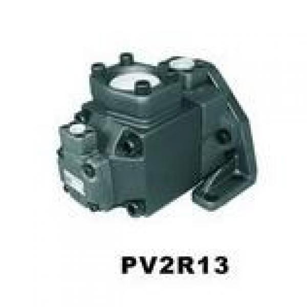  USA VICKERS Pump PVH057R02AA10B252000001AE100010A #4 image